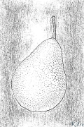 pear Coloring Pages To Print